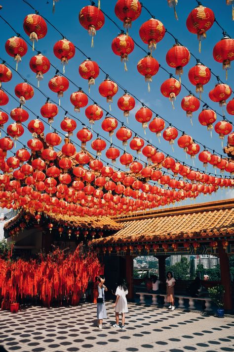 Chinese New Year Pictures, Chinese New Year Images, Lantern Image, Free English Lessons, Hanging Paper Lanterns, China Culture, New Year Pictures, Dragon Decor, Festivals Around The World