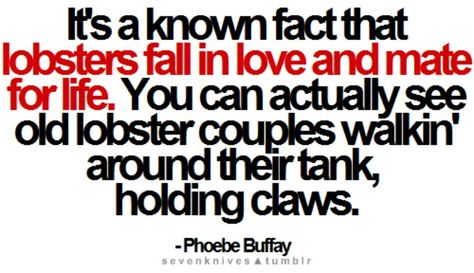 Phoebe Buffay Lobster Quotes, Friends Lobster, Hes Her Lobster, Share Quotes, Phoebe Buffay, I Love My Friends, How I Met Your Mother, Quotes By Authors, Friends Quotes