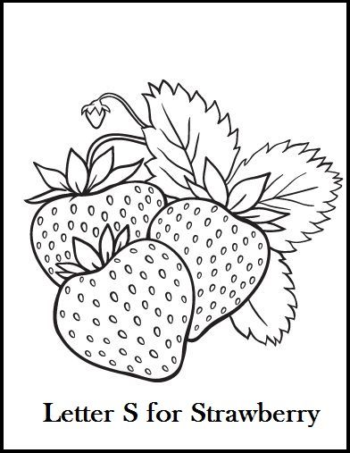 We have collection of fresh strawberry coloring pages to choose from. The illustration of pictures is fairly basic and meant for youngsters, but some Strawberry Drawing, Strawberry Color, Food Coloring Pages, Fruit Coloring Pages, Pola Sulam, Art Drawings For Kids, Cute Coloring Pages, Free Printable Coloring, Free Printable Coloring Pages