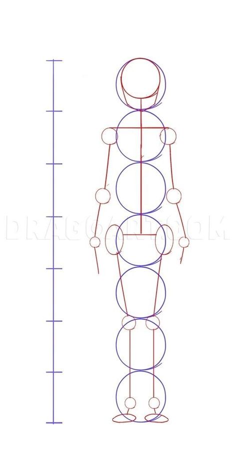 Body Step By Step Drawing, Sculpture Easy, Body Proportion Drawing, Drawing Body Proportions, Drawing Anime Bodies, Human Body Drawing, Drawing Female Body, Fashion Figure Drawing, Human Anatomy Drawing