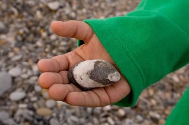 Identifying Rocks is HARD! (Even for geologists) Rock Experiments, How To Identify Rocks, Collecting Rocks, Rock Identification, Rock Tumbling, Rocks And Fossils, Rock Hunting, Geology Rocks, My Rock