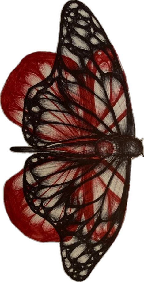 Traditional Tattoo Designs, Dresses Ladies, Arte Inspo, American Traditional Tattoo, Black Butterfly, American Traditional, Sketchbook Art Inspiration, Art Inspiration Drawing, Traditional Tattoo