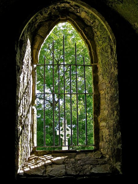 Jerpoint Abbey 10 | Flickr - Photo Sharing! Cistercian Monk, Kilkenny Ireland, Ireland History, Looking Out The Window, Emerald Isle, Window View, Through The Window, 12th Century, Ireland Travel