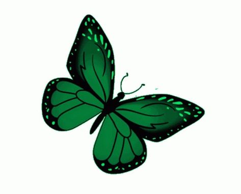 Butterfly Gif, Butterfly Cake Topper, Animal Wall Art Nursery, Butterfly Images, Green Sticker, Butterfly Cakes, Green Butterfly, Beautiful Gif, Iphone Icon