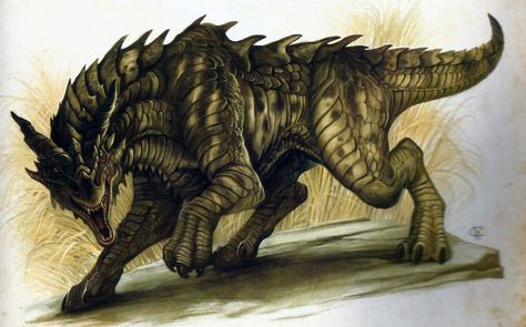 Common drake from dracopedia drawing book by William O'Connor Creature Drawings, Fantasy Monster, Fantasy Creatures Art, Dragon Artwork, Drake Dragon, Drake Art, Creatures Art, Fantasy Beasts, Monster Concept Art