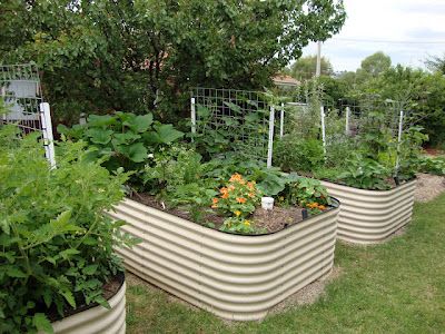 . Worm Garden, Raised Planter Boxes, Raised Planter, Large Backyard, Unique Gardens, Garden Boxes, Raised Bed, Planting Vegetables, Composting