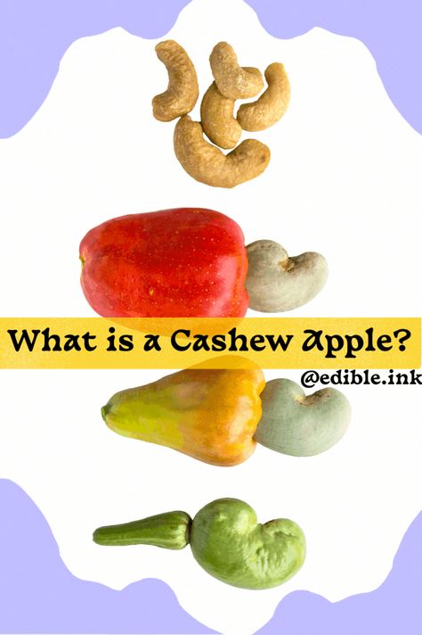 Cashew Fruit, Cashew Apple, Cashew Tree, Vitamin Packs, Apple Drinks, Fuji Apple, Healthy Meals To Cook, Cashew Nut, Edible Ink