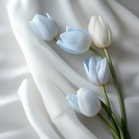 Blue Tulips Aesthetic, Blue Atheistic, Soft Blue Aesthetic Wallpaper, Tulips Aesthetic, Cute Images For Wallpaper, Cute Easy Doodles, Baby Blue Aesthetic, Abstract Wallpaper Backgrounds, Blue Tulips