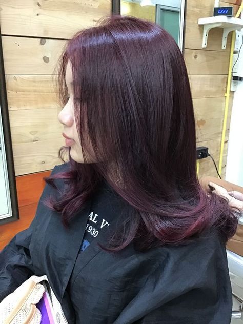 Pelo Color Vino, Frog Sweatshirt, Frog Hoodie, Violet Hair Colors, Pink Sweatshirts, Wine Hair Color, Hair Color Plum, Maroon Hair, Plum Hair