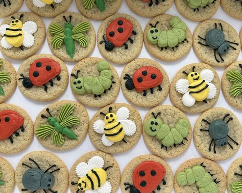 Bug cookies Bug Party Cake, Insect Cookies, Bug Cookies Decorated, Bug Sugar Cookies, Bug Cake Ideas, Bug Cookies, Buttercream Cookies Decorated, Bug Party Food, Bug Food