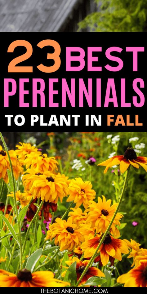 Fall Planting Perennials, Front Yard Design Ideas, Plant In Fall, Yard Design Ideas, Garden Home Ideas, Yard Landscape Ideas, Garden Front Yard, Fall Flowers Garden, Fall Landscaping