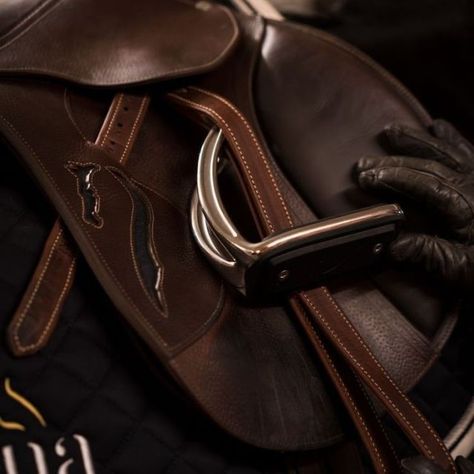 Equestrian Shop, Equestrian Events, Equestrian Aesthetic, Equestrian Chic, Horse Fashion, Extreme Sport, Accidents Happen, Sleek Aesthetic, Horse Aesthetic