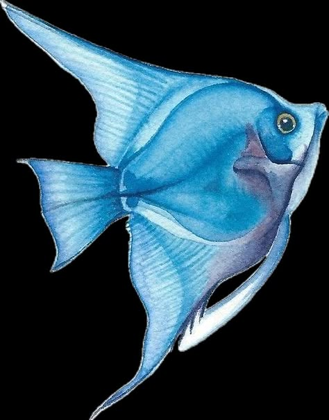 Creatures Drawing, Sea Creatures Drawing, Watercolor Fish, Sea Art, Fish Painting, Art Drawings Sketches Simple, Cool Paintings, Colorful Drawings, Doodle Drawings