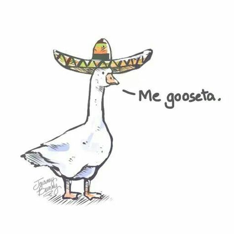 Mexican Duck, Sketches Ideas, Funny Duck, Funny Animal Jokes, Sum Up, Very Funny Pictures, Cute Little Drawings, Animal Jokes, Really Funny Pictures