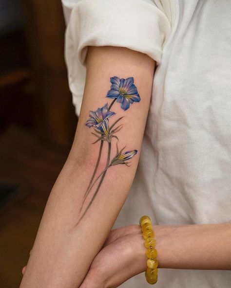 Gentiana Flower Tattoo, Gentian Flower Tattoo, Blue Flower Tattoos For Women, Tattoo Blue Ink, Blue Flower Tattoo, Gentian Flower, Blue Flower Tattoos, Flower Tat, Virgo Tattoo