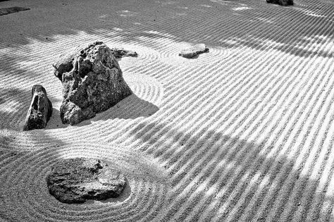 Glass House Garden, Sand Garden, Japanese Rock Garden, Zen Rock Garden, Wabi Sabi Design, Zen Garden Design, Forest Mural, Wabi Sabi Art, Japan Garden