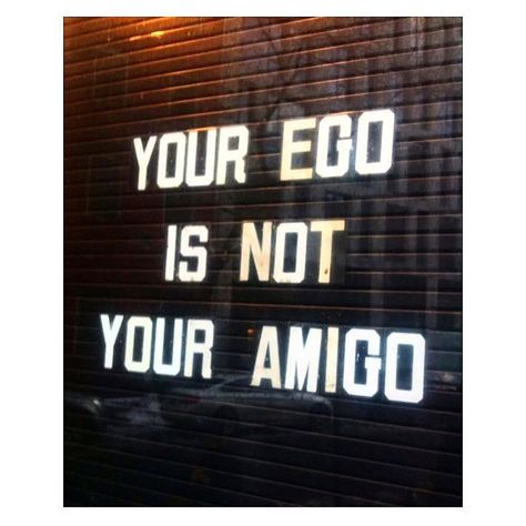 MameccaLoveNYC My Home Town! ~ LOL :-D ReaL Talk! :-P ;-) <3 No Ego, Pamela Love, Truth Hurts, Mantra, Inspire Me, Positive Vibes, Wise Words, Life Lessons, Quotes To Live By