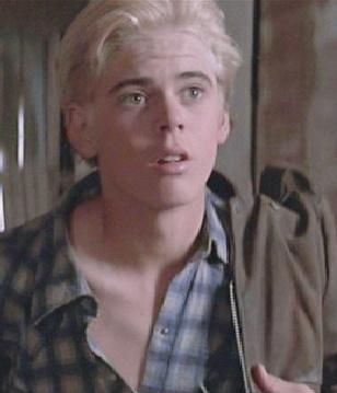 Ponyboy Curtis played by Tommy Howell The Outsiders Ponyboy, Tommy Howell, Ponyboy Curtis, The Outsiders Cast, 80s Actors, The Outsiders Greasers, 1980s Movies, The Outsiders 1983, 90s Actors