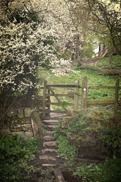 On one of my favourite walks around Richmond North Yorkshire x Slope Gardening, Sloping Garden, Countryside Scenery, Country Spring, Garden Uk, Woodland Cottage, Night Illustration, Cottage Aesthetic, Aesthetic Garden