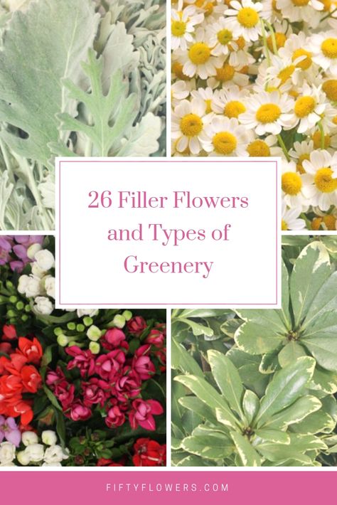 Types Of Greenery, Flower Garden Layouts, Fifty Flowers, Flower Shop Design, Cut Flower Farm, Filler Flowers, Flower Farming, Gardens Ideas, Flower Business