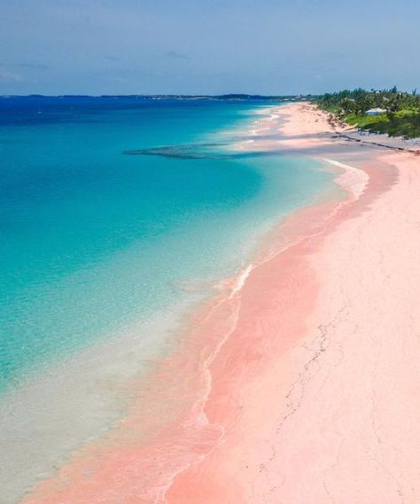 Pink Sand: Harbour Island, Bahamas Bahamas Honeymoon, Harbour Island Bahamas, Summer Travel Destinations, Bahamas Travel, Pink Sand Beach, Harbour Island, Phuket Thailand, Komodo, Beaches In The World