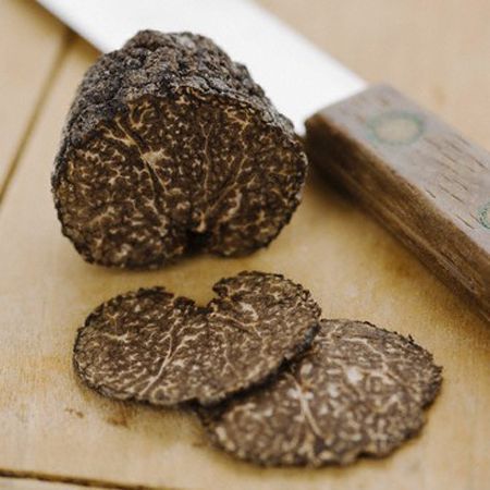 White Truffle Fever Makes the Season Glow - Viking Range, LLC Black Truffle Recipe, Truffle Hunting, Truffle Mushroom, San Miniato, White Truffle Oil, Gourmet Dinner, White Truffle, Black Truffle, Executive Chef