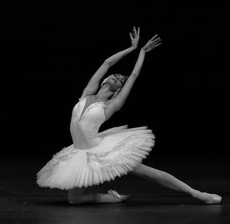 Lia Volkov, Lia Morelli, Deception Trilogy, Swan Lake Ballet, Ballet Beauty, Ballet Poses, Ballet Inspiration, Rina Kent, Swan Queen