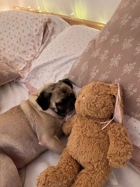 Weiner Dog Aesthetic, Pug Aesthetics, Pink Pug, Dog Aesthetic, Cute Dog Photos, Puppies And Kitties, Cute Animals Images, Weiner Dog, Cute Stuffed Animals