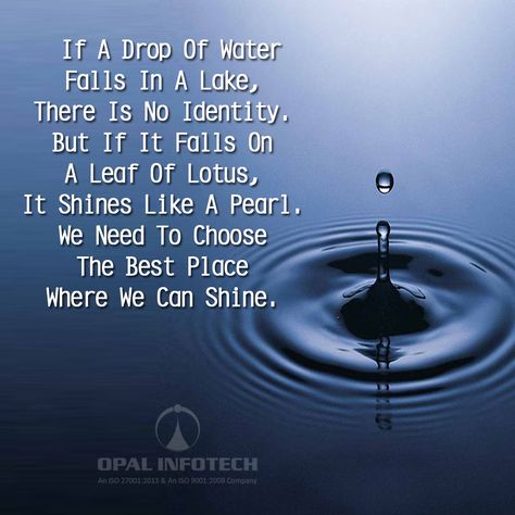 #Thought of the day "If A Drop Of Water Falls In A Lake, There Is No Identity. But If It Falls On A Leaf Of Lotus, It Shines Like A Pearl.  We Need To Choose The Best Place Where We Can Shine." #OpalInfotech #ThoughtOfTheDay #Day #Motivation #MotivationThought Water Drop Quotes, Water Drop On Leaf, No Identity, Leaf Quotes, Day Motivation, Water Quotes, Lion And The Mouse, A Drop Of Water, Rock Quotes