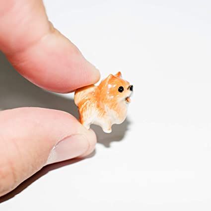 Amazon.com: SSJSHOP Pomeranian Micro Tiny Dollhouse Figurines Hand Painted Ceramic Animals Collectible Dog Lover Gift Home Garden Decor (Stand) : Toys & Games Dog Pottery, Tiny Dollhouse, Clay Craft Ideas, Polymer Clay Craft, Decor Stand, Clay Products, Miniature Clay, Cute Craft, Dog Statue