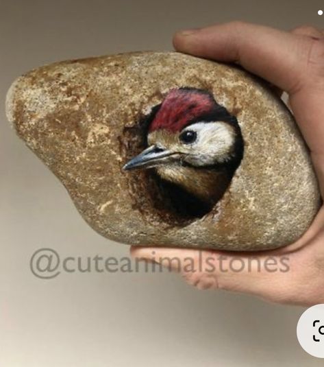 Diy Rock Art, Painted Rock Animals, Stone Art Painting, Painted Rocks Craft, Painted Rocks Diy, Rock Painting Patterns, Surrealism Painting, 수채화 그림, Pet Rocks