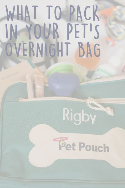 Going away? If your pup is off to a sitter, be sure you pack everything they'll need while you're away. How to pack a bag & travel checklist included! Overnight Bag Checklist, Dog Overnight Bag, Puppy Bag, Printable Packing List, Small Knitting Projects, Travel Packing List, Dog Travel Bag, Pet Essentials, Bag Checklist