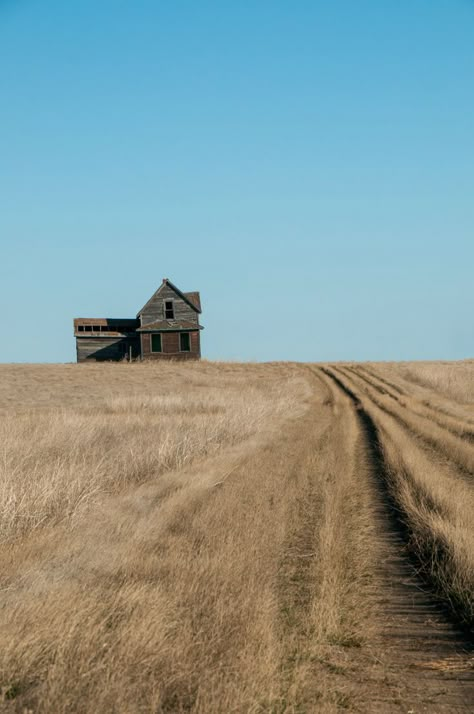 Old House Aesthetic, Abandoned Farm, Trailer Park Boys, Traverse City Michigan, Photos Black And White, Landscape Photography Tips, Landscaping Supplies, Abandoned House, Wheat Field