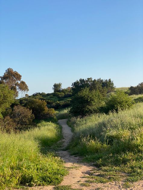 #canyon #trail #hikes #malibu Malibu Hikes, Hike Aesthetic, Life Manifestation, Topanga Canyon, Forever Mine, Hiking Aesthetic, Lead Magnet, Hiking Trail, Pretty Places