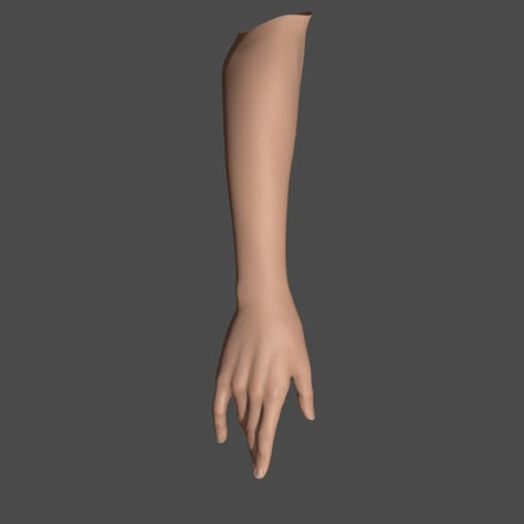 Arm Model Reference, Arm Model Reference For Tattoo, Arm Template, Body Templates, Anatomy Tattoo, Arm Model, Body Template, Human Body Parts, Tattoo Templates