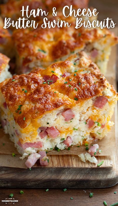 Ham and Cheese Butter Swim Biscuits are made with two kinds of cheddar cheese, diced ham, and chives, then baked in a layer of melted butter. I love how they end up with a crispy, golden crust with a soft center filled with ham and cheese!