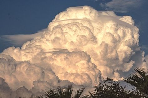 Cumulonimbus Nimbus Cloud Storm Cloud Cumulonimbus Clouds, Cumulonimbus Cloud, Plains Landscape, Mammatus Clouds, Environment Reference, Nimbus Cloud, Cumulus Clouds, Cloud Atlas, Western Paintings