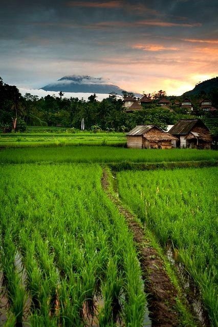 Vietnam Landscape, Voyage Bali, Bali Lombok, Foto Langka, Matka Natura, Village Photos, Gili Island, Village Photography, Indian Village