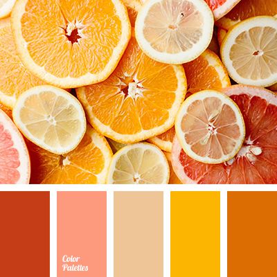 Shades Of Yellow Color, Colour Guide, Orange Color Palettes, Color Palette Yellow, Red Colour Palette, Warm Palette, Summer Color Palette, Color Palette Ideas, Burger Bar