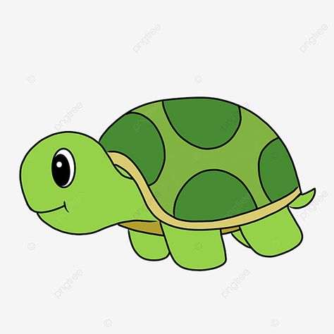 Green Turtle Drawing, Turtle Cute Drawing, Tortoise Cartoon, Turtle Clip Art, Cartoon Tortoise, Shell Clipart, Smile Clipart, Sea Turtle Clipart, Cute Turtle Drawings