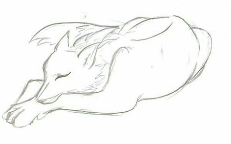 Wolf Ears And Tail, Anime Wolf Drawing, Wolf Sketch, How To Draw Anime, Wolf Ears, Ears And Tail, Wolf Artwork, Draw Animals, Drawing Animals