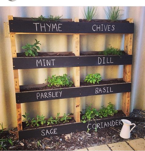 Pallet Planter Ideas, Plants Around Pool, Pallet Planters, Vertical Herb Gardens, Pool Garage, Small Garden Layout, Vertical Garden Wall Planter, Cabinets Bedroom, Herb Garden Pallet