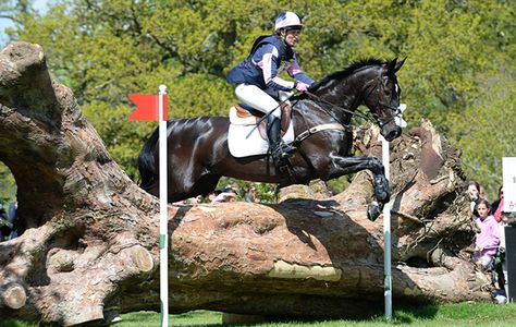 Badminton Horse Trials, Horse Trails, Buy A Horse, Horse Trials, Pony Pictures, Horse Trail, Two Horses, Chasing Dreams, Horse Drawing