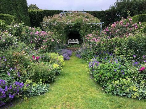 Gertrude Jekyll Garden, Gertrude Jekyll Garden Design, Cotswold Garden, Border Garden, Garden School, Gertrude Jekyll, Gardens Flowers, Chelsea Garden, Gardening Inspiration