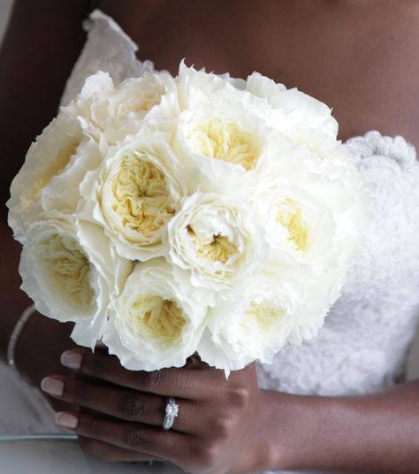 A gorgeous hand tied bouquet of David Austin roses. David Austin Roses Bouquet, Austin White, Bridal Bouquet Flowers, Hand Tied Bouquet, David Austin Roses, David Austin, Wedding Bridal Bouquets, White Bouquet, Bride Bouquets