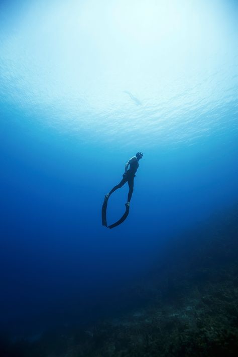 If you love the water, then freediving is for you. At Free Dive Utila, Central America’s first freediving school, we are committed to helping you unlock your natural aquatic ability. Come and see for yourself. Free Diving Photography, Free Diving Aesthetic, Sea Images, Diving School, Free Dive, Navy Diver, Skin Diving, Deep Photos, Underwater Pictures