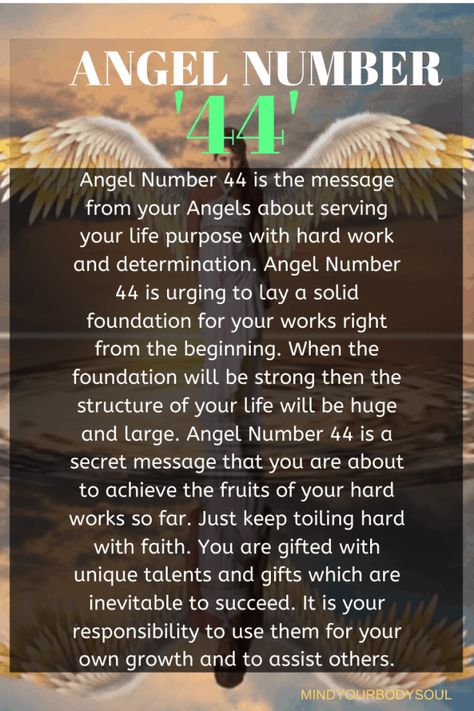 Angel Number 44 Meaning? What Does It Mean In Love? - Mind Your Body Soul 12345 Angel Number Meaning, Angel Numbers 1234 Meaning, 1234angel Number Meaning, 1234 Number Meaning, Angel Numbers 1234, 12:34 Meaning, 1234 Angel Number Meaning, 1234 Meaning, 44 Meaning