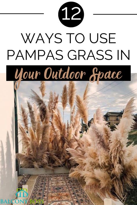 Pampas grass is a popular decorative element indoors, but, unsurprisingly, it works just as well outdoors. Famous for its bushy stems and interesting texture, it’s a great choice both cut and grown as a plant. In this post, we’ll look at 12 ways to use pampas grass décor outdoors. Of course, you can translate plenty of these into indoor decorations, too. Pampas Grass Front Porch, Balcony Hacks, Purple Pampas Grass, Pot Image, Patio Railing, Grass Wreath, Winter Planter, Grass Decor, Pampas Grass Decor