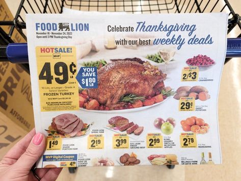 Food Lion Weekly Coupon Deals: Nov. 16 - Nov. 24 Giant Vegetable, Turkey Hill, Lays Potato Chips, Manufacturer Coupons, Spiral Ham, Frozen Turkey, Cracker Snacks, Cream Soup, Donut Glaze