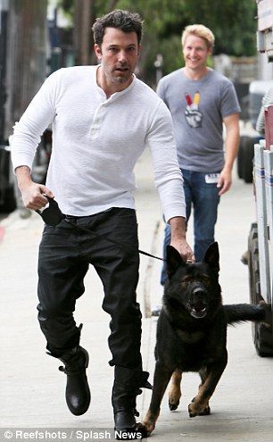 Ben Affleck & his GSD Hutch German Shepherd Facts, Timmy Time, German Shepherd Training, Athletic Dogs, Celebrity Dogs, German Shepherd Rescue, Dog Magazine, Dog Training Classes, Black German Shepherd